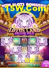 Programa VIP 666Win